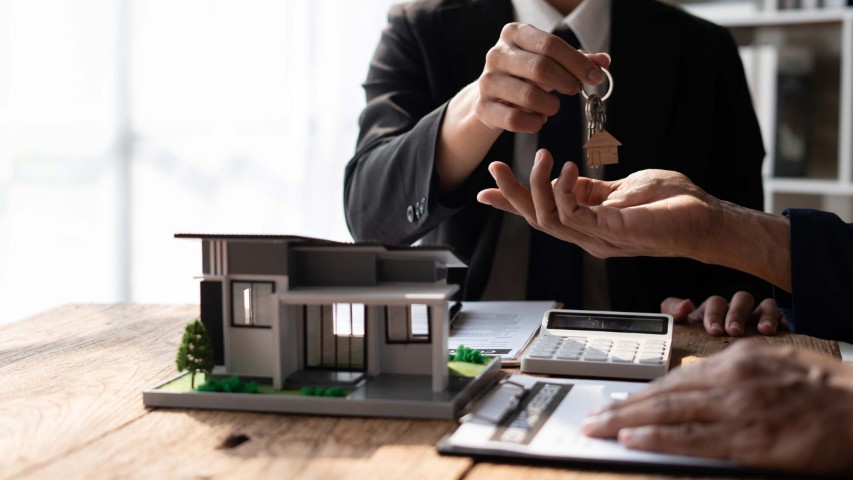 Şirket Görünümü